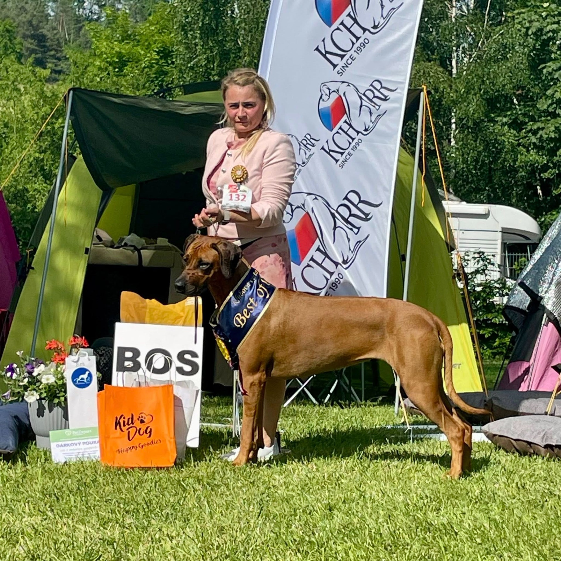 CIB-J/GrandCH/MultiCH/MultiWinner/ClubCH KCHRR/MultiJuniorCH 𝑨𝒎𝒐𝒖𝒓 𝑴𝒂 𝑷𝒆𝒕𝒊𝒕𝒆 𝑭𝑨𝑵𝑰𝑺𝑻𝑬 𝑳𝒊𝒐𝒏𝒉𝒆𝒂𝒓𝒕 