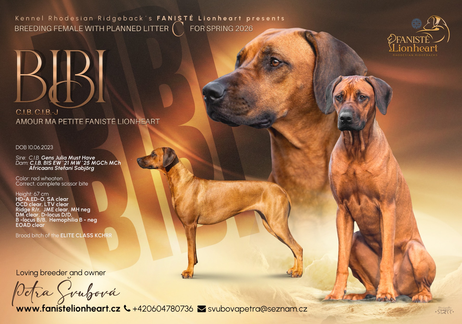 Bibi